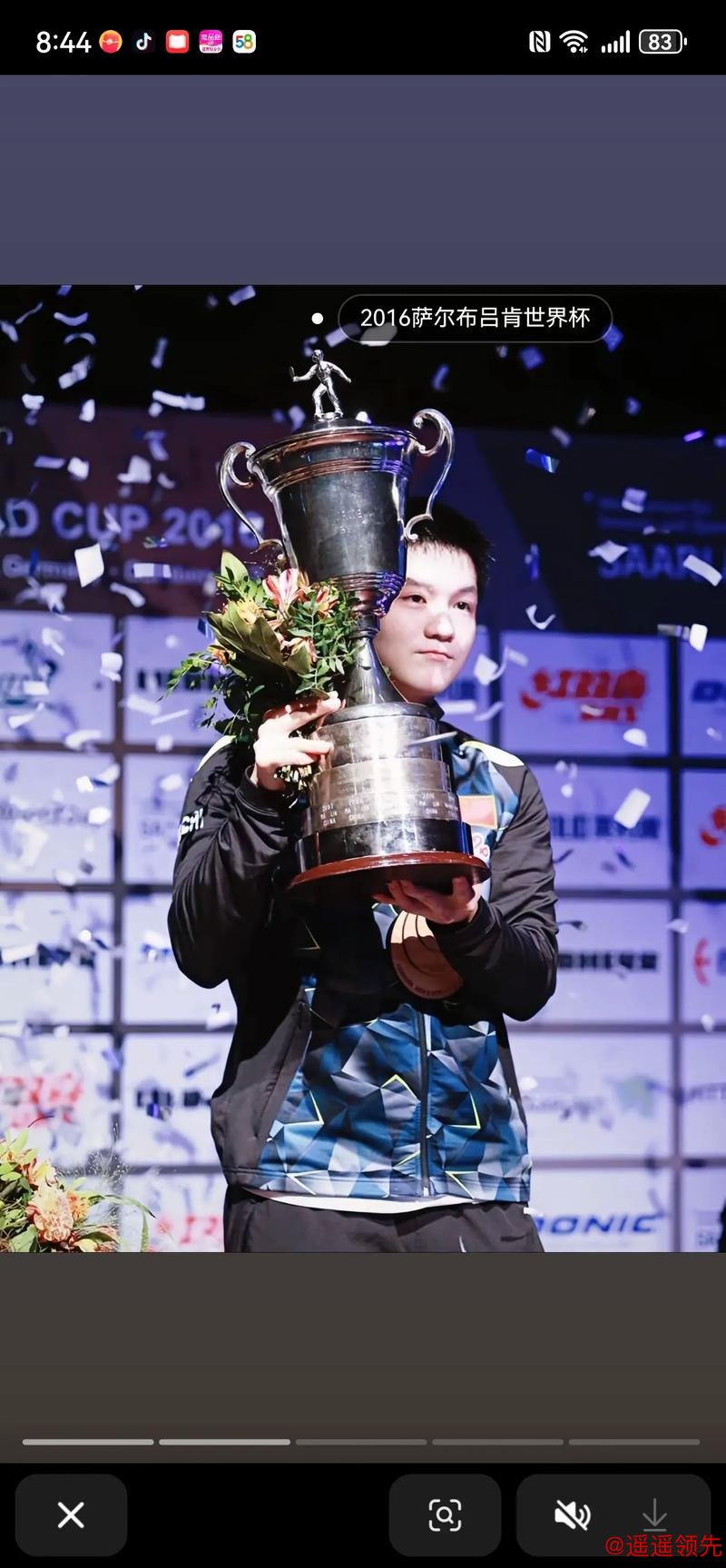 混团世界杯国乒8比1法国 莎头送开门红樊振东收官