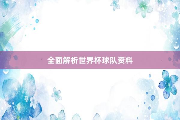 全面解析世界杯球队资料