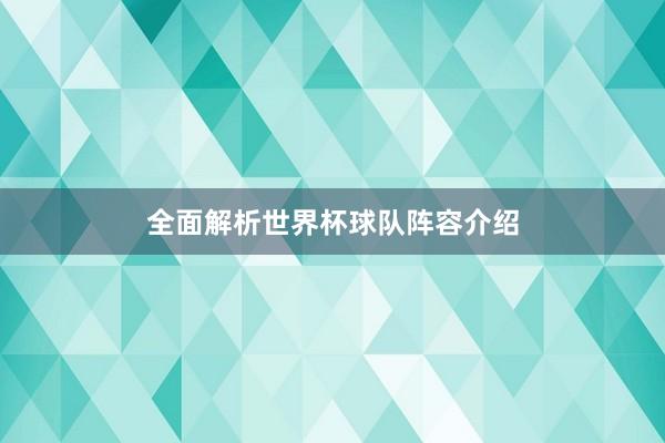 全面解析世界杯球队阵容介绍
