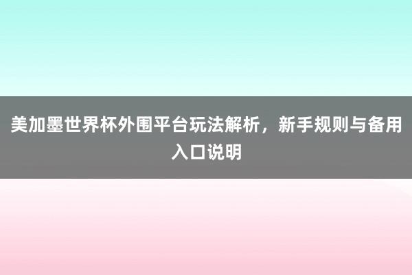 美加墨世界杯外围平台玩法解析，新手规则与备用入口说明