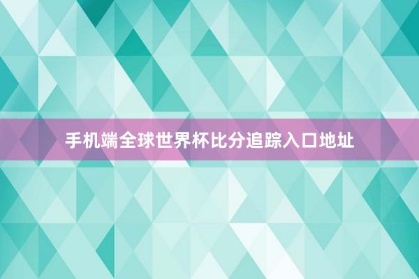 手机端全球世界杯比分追踪入口地址